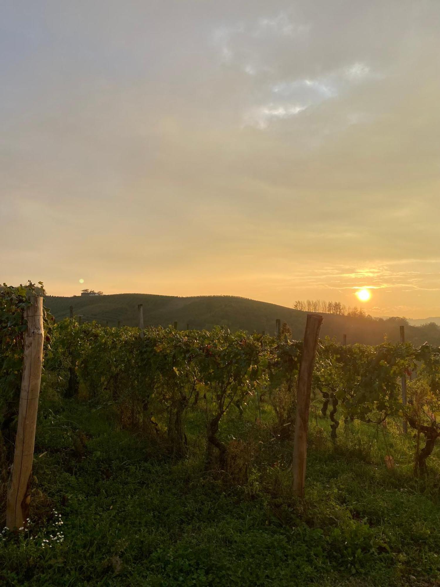 Tenuta Agricola La Cava- Cantina E Agriturismo San Damiano d'Asti Экстерьер фото