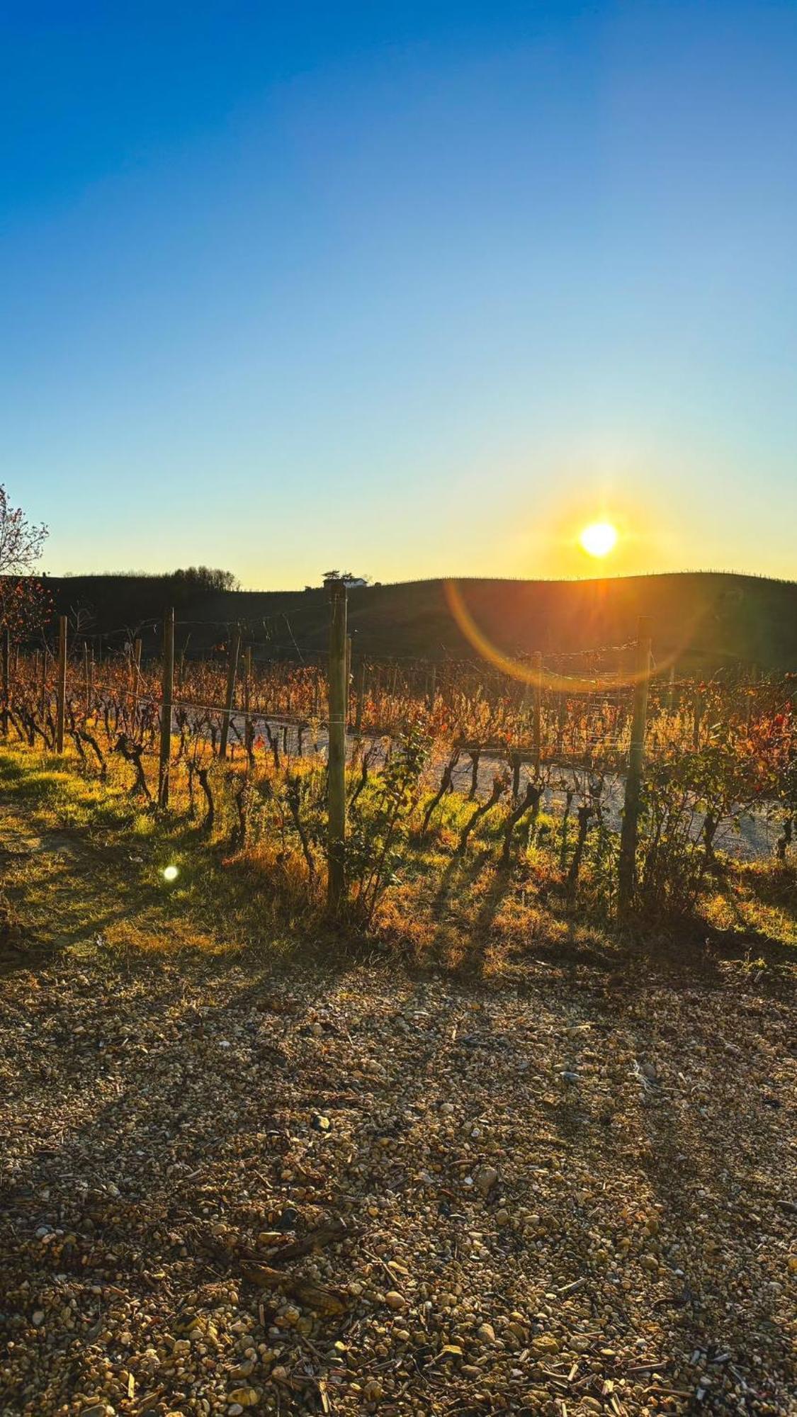 Tenuta Agricola La Cava- Cantina E Agriturismo San Damiano d'Asti Экстерьер фото