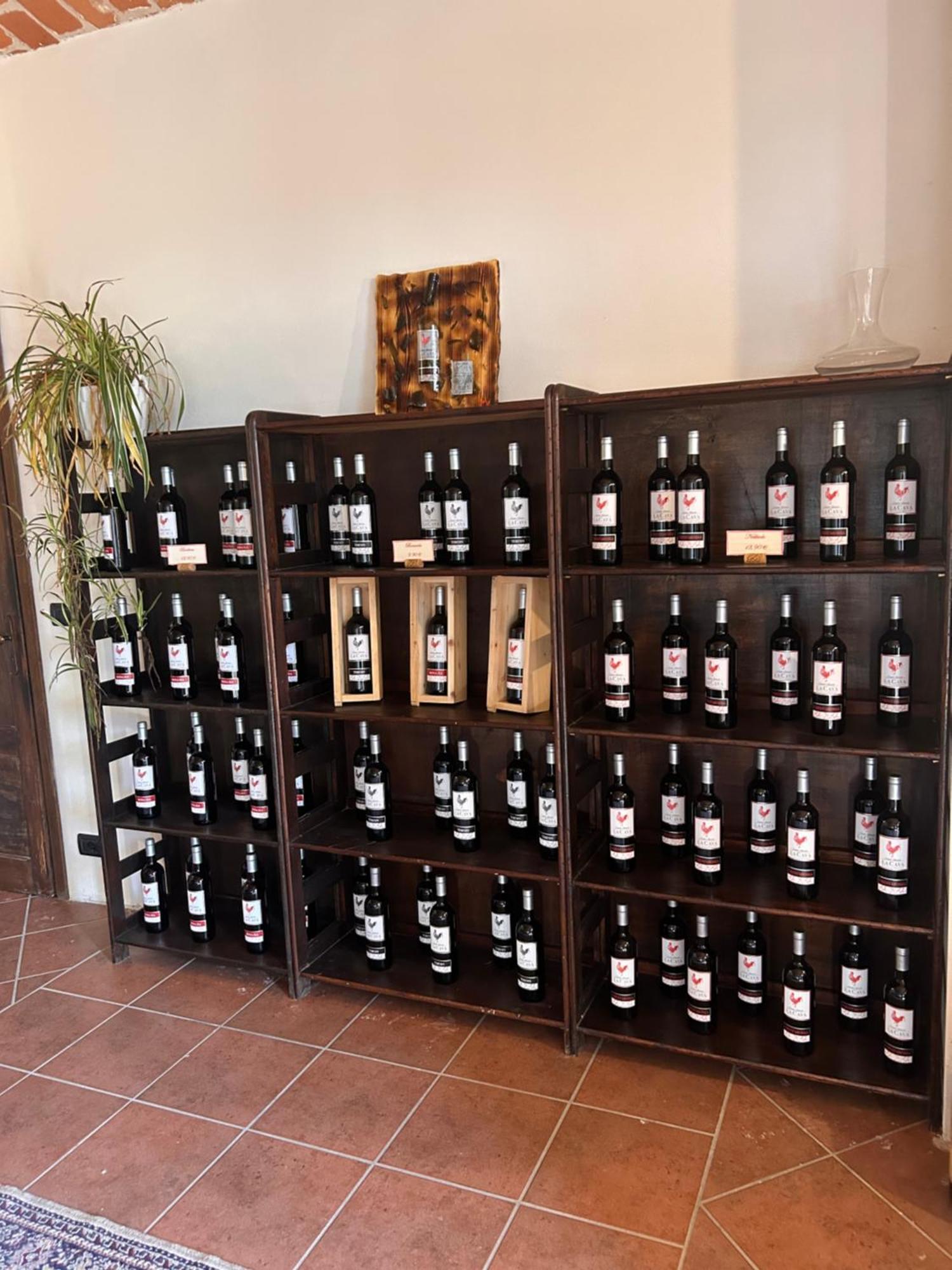 Tenuta Agricola La Cava- Cantina E Agriturismo San Damiano d'Asti Экстерьер фото