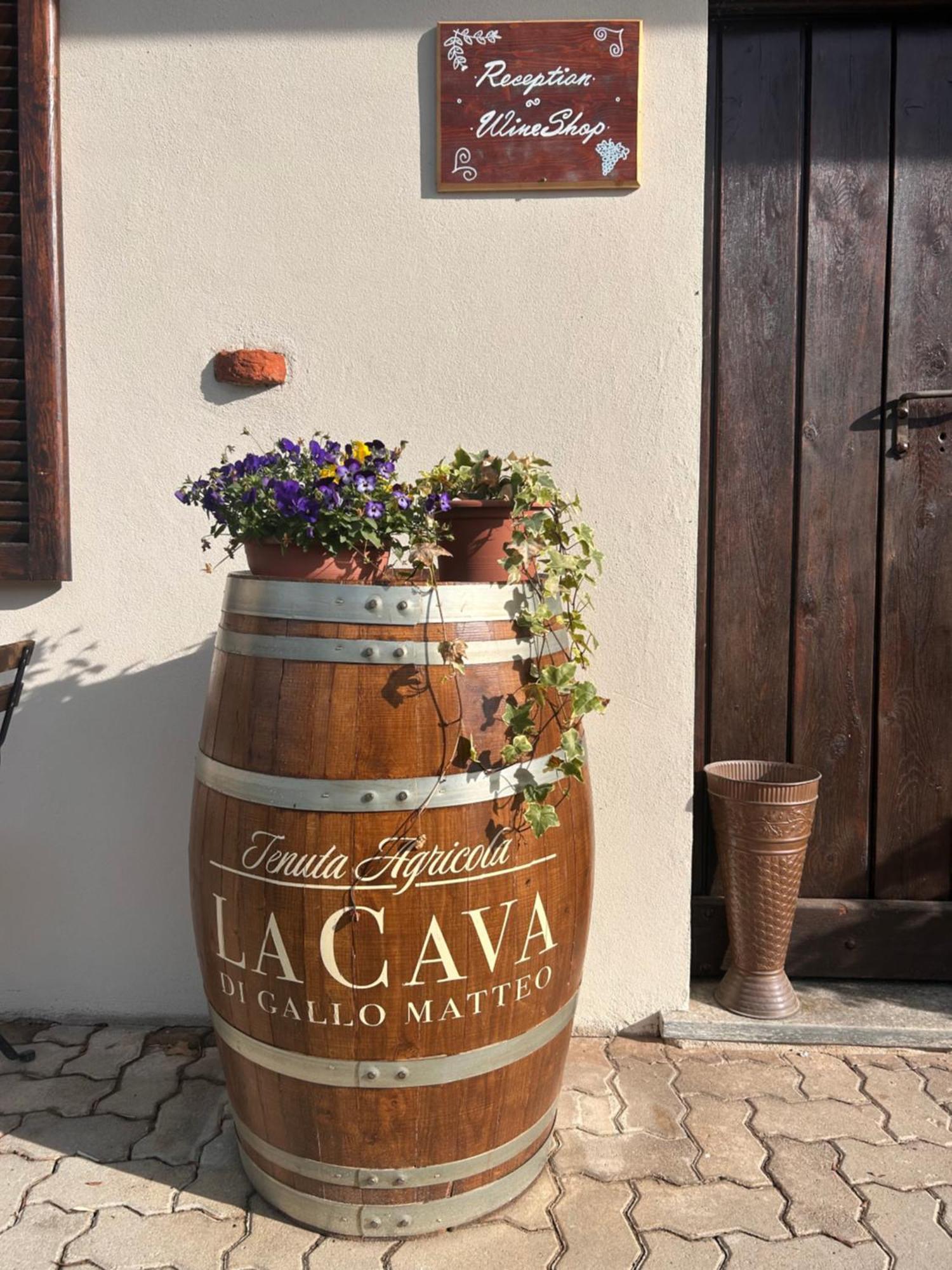 Tenuta Agricola La Cava- Cantina E Agriturismo San Damiano d'Asti Экстерьер фото