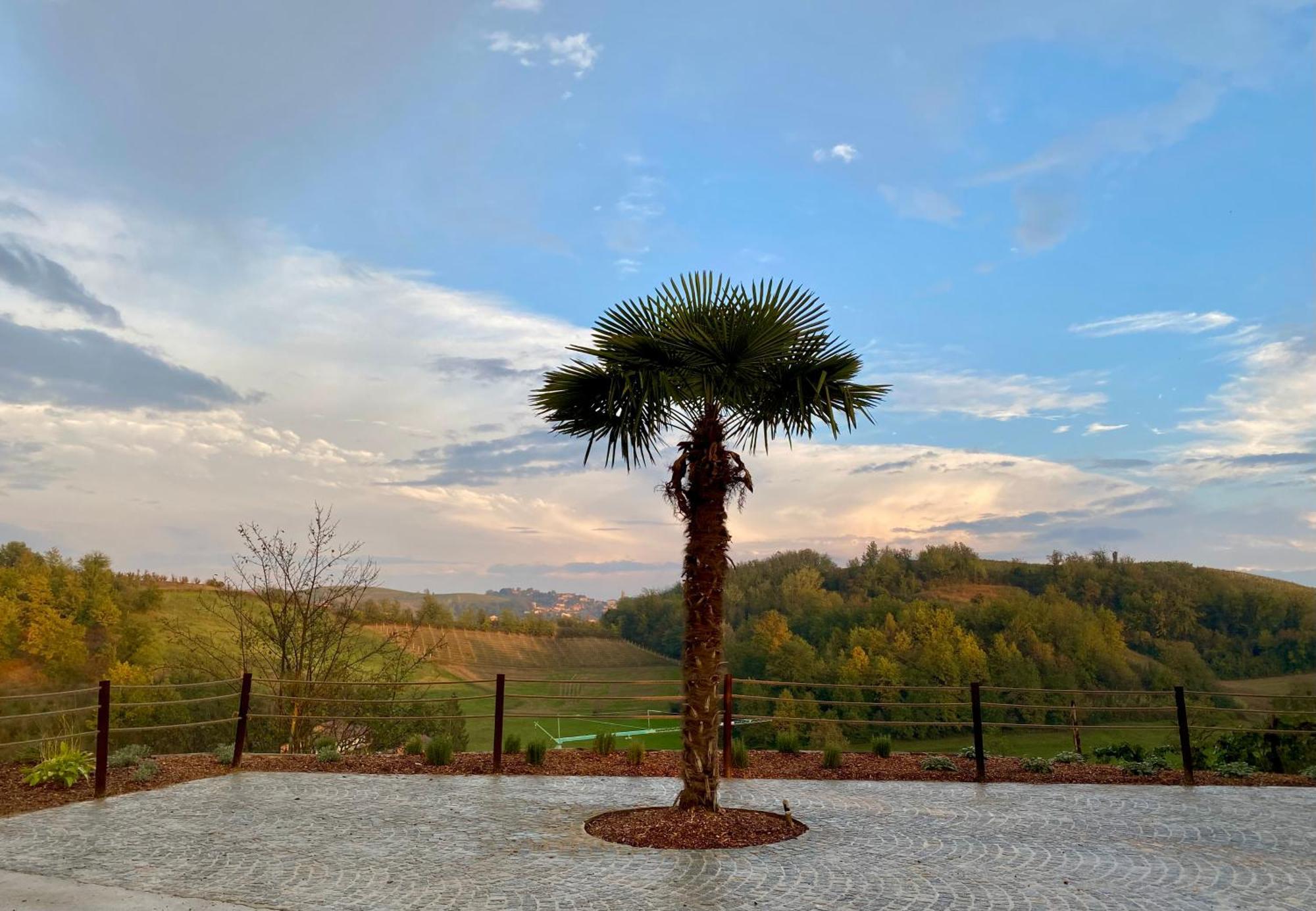 Tenuta Agricola La Cava- Cantina E Agriturismo San Damiano d'Asti Экстерьер фото